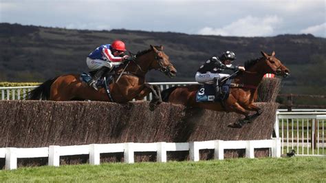 cheltenham tips for tomorrow